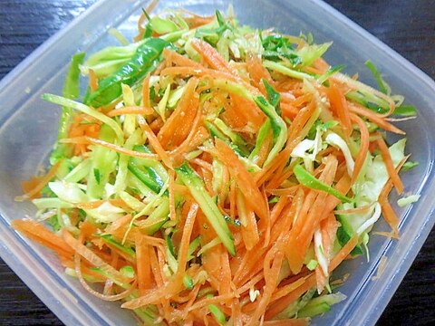 せん切り野菜サラダ